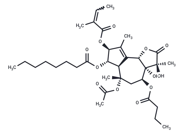 Thapsigargin structure