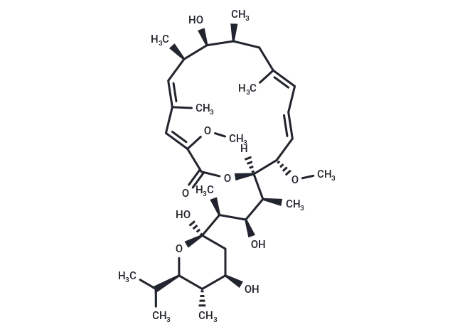 Bafilomycin A1 structure