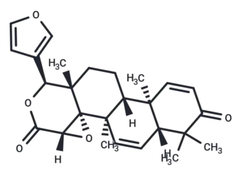 7DG