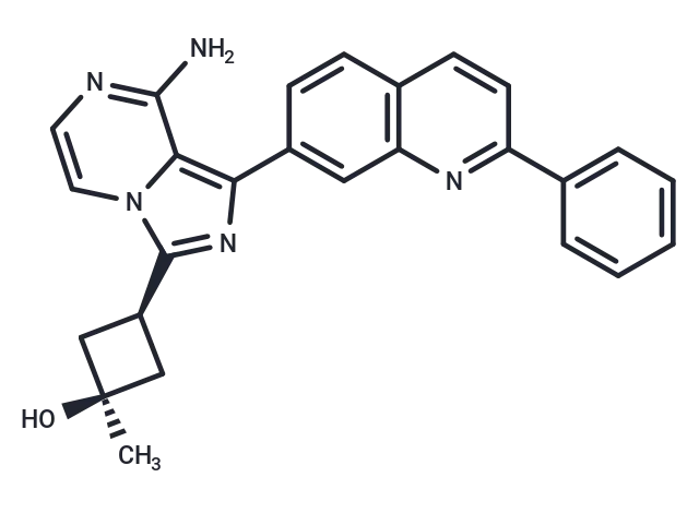 Linsitinib