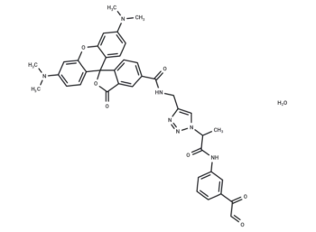 Citrulline-specific Probe-Rhodamine