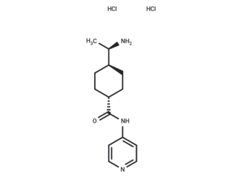 Y-27632 2HCl