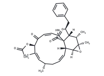 Cytochalasin K