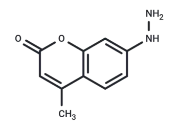 Coumarin hydrazine
