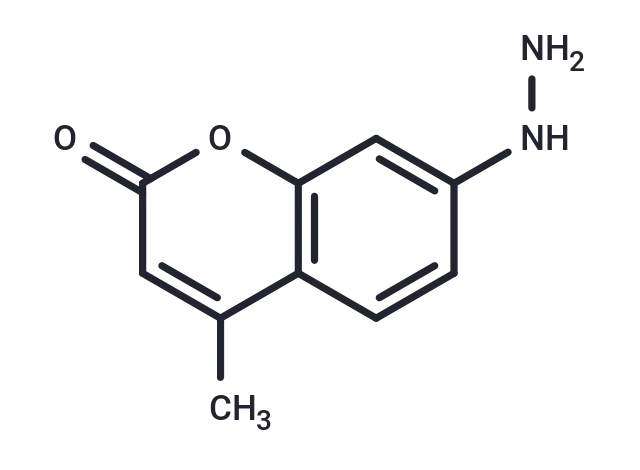 Coumarin hydrazine