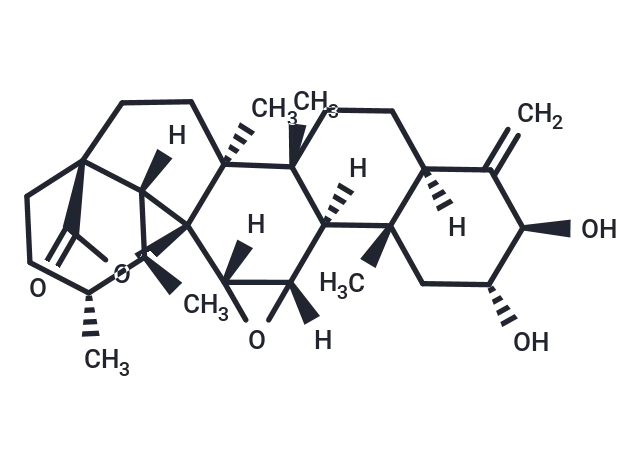Ulmoidol CgoaEGY7KL2EfXPnAAAAAATTOIs255- Immunomart