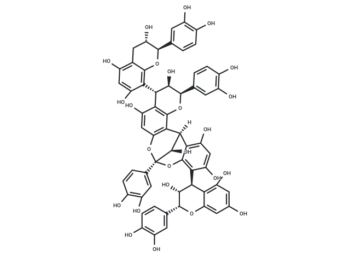 Cinnamtannin D2