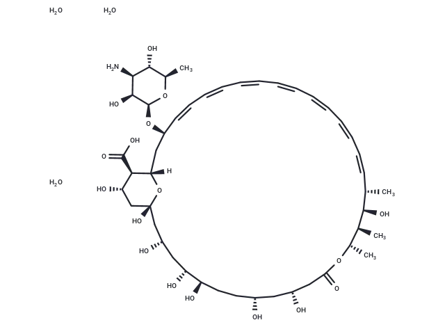 Amphotericin B trihydrate