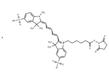MeCY5-NHS ester potassium