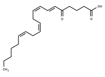 5-OxoETE