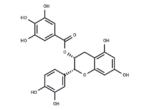 (-)-Epicatechin gallate