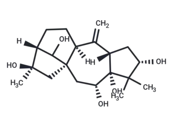 Grayanotoxin II