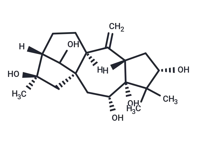 Grayanotoxin II