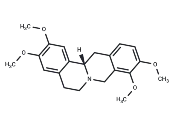 Rotundine