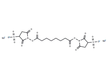 BS3 Crosslinker disodium