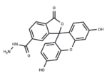 FAM hydrazide