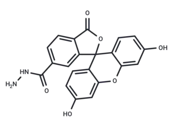 FAM hydrazide, 6-isomer