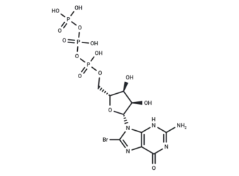 8-Br-GTP