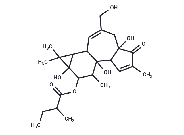 (Rac)-Phorbol-12-(2-methylbutyrate) CgoaEGY7Kc EBCYKAAAAAOkQ Lk092- Immunomart