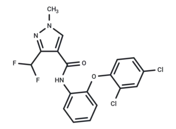 Y12196
