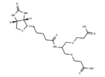 2-(Biotin-amido)-1