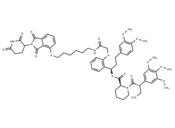 FKBP12 PROTAC dTAG-13