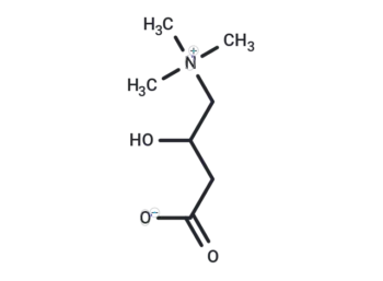 DL-Carnitine