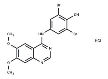 WHI-P97 HCl