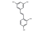 Oxyresveratrol