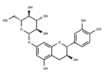 Catechin 7-O-β-D-glucopyranoside