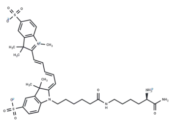 sCy5DL-amide