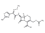 Cefotaxime
