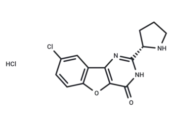 XL413 hydrochloride