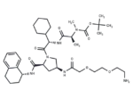 A 410099.1 amide-PEG2-amine-Boc
