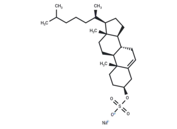 Cholesteryl sulfate sodium