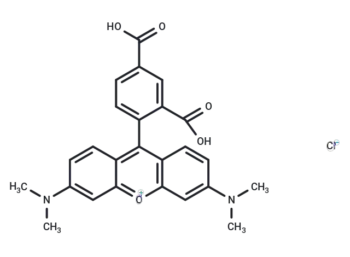 5-TAMRA chloride(91809-66-4 free base)