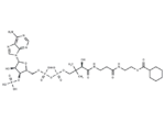 Cyclohexanoyl Coenzyme A