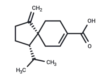 Schisansphenin B