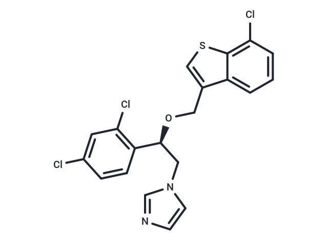 Arasertaconazole