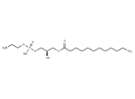 1-Dodecanoyl-sn-glycerophosphoethanolamine