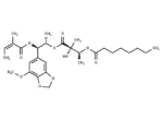Neohelmanthicin B