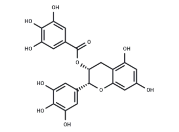 (-)-Epigallocatechin Gallate