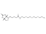 Amine-PEG3-Biotin