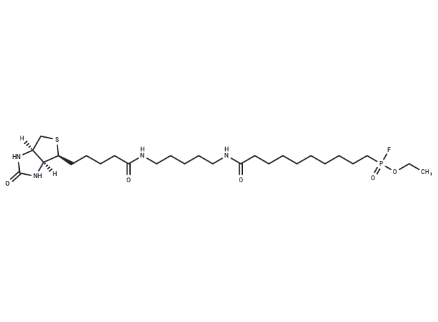 FP-Biotin