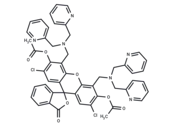 DA ZP1