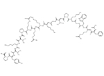 Acetyl-ACTH (7-24) (human