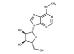 N6-methyladenosine