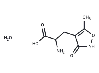 (RS)-AMPA monohydrate