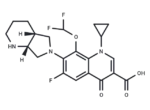 Chinfloxacin