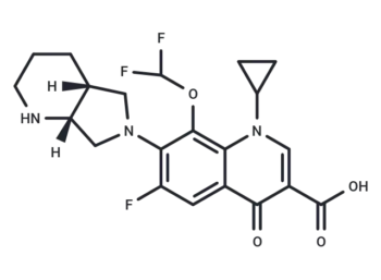 Chinfloxacin